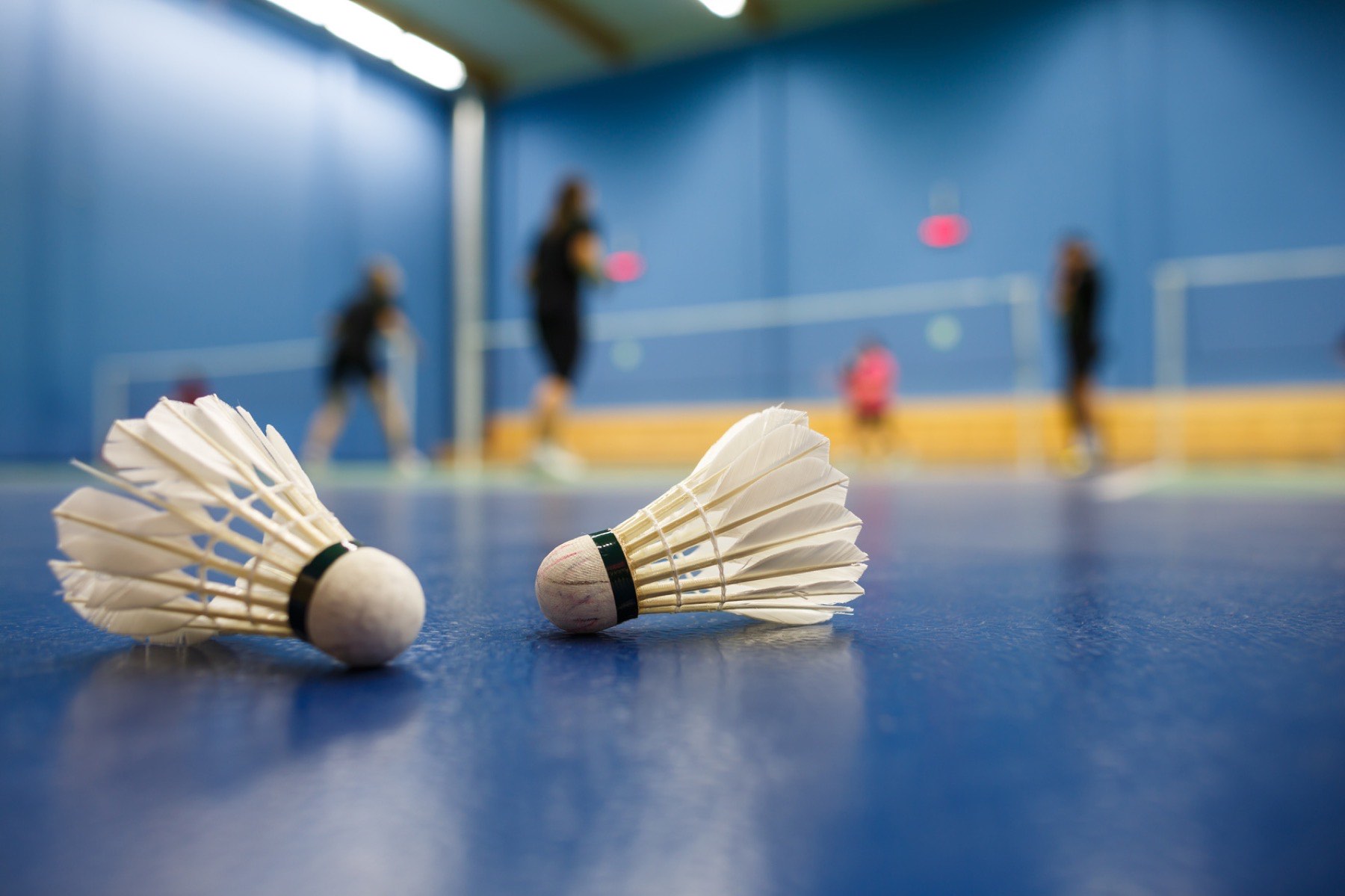 Federbälle auf dem Badmintonfeld